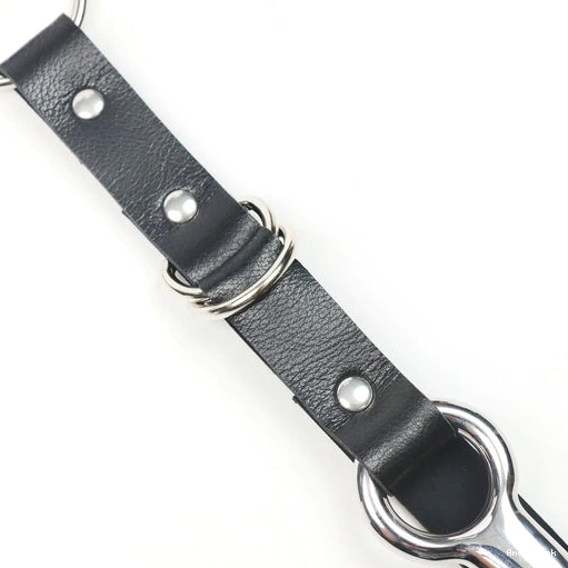 Leash with 5853 Kinky and Anal EverydayUse Collar Hook 0131